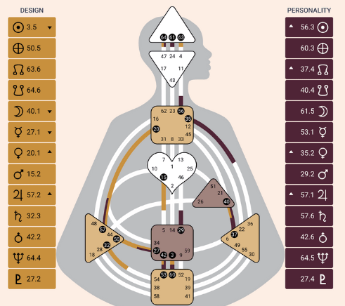 Human Body Design Chart